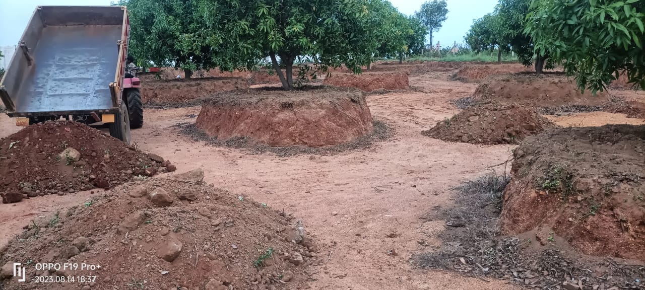 Road Works & Infrastructure